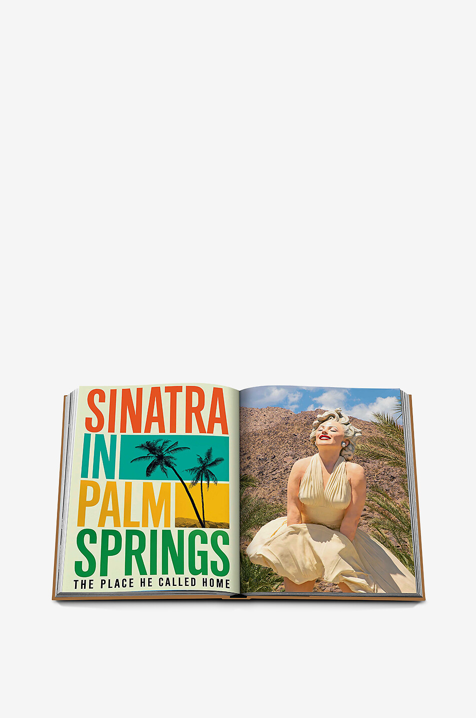 ASSOULINE Livre illustré The Classics Collection Palm Springs Maison MARRON 5