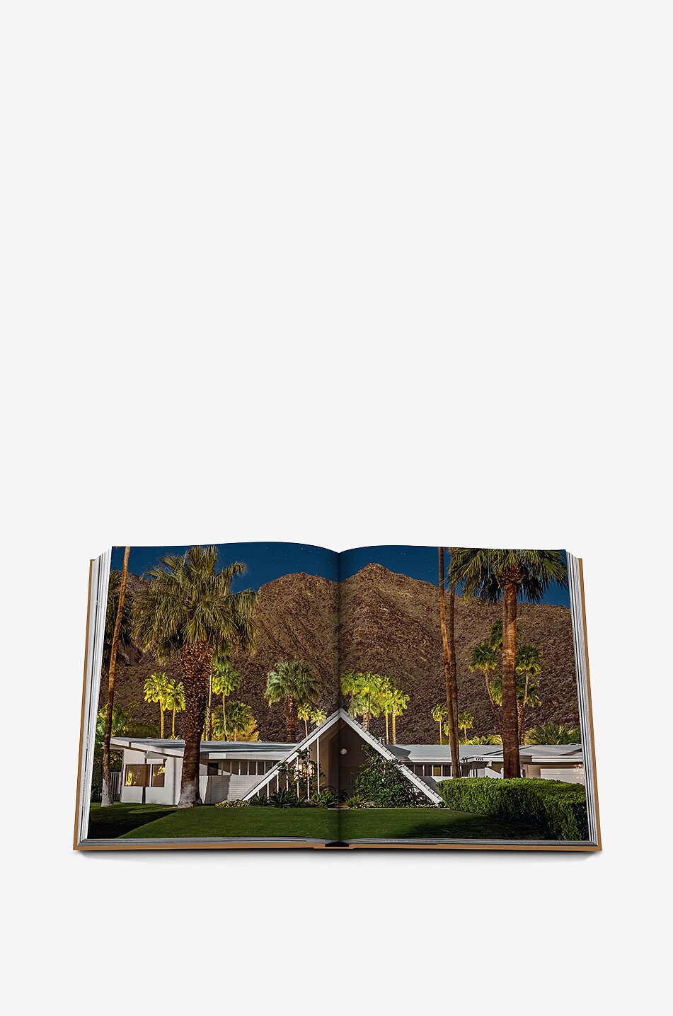 ASSOULINE Livre illustré The Classics Collection Palm Springs Maison MARRON 6