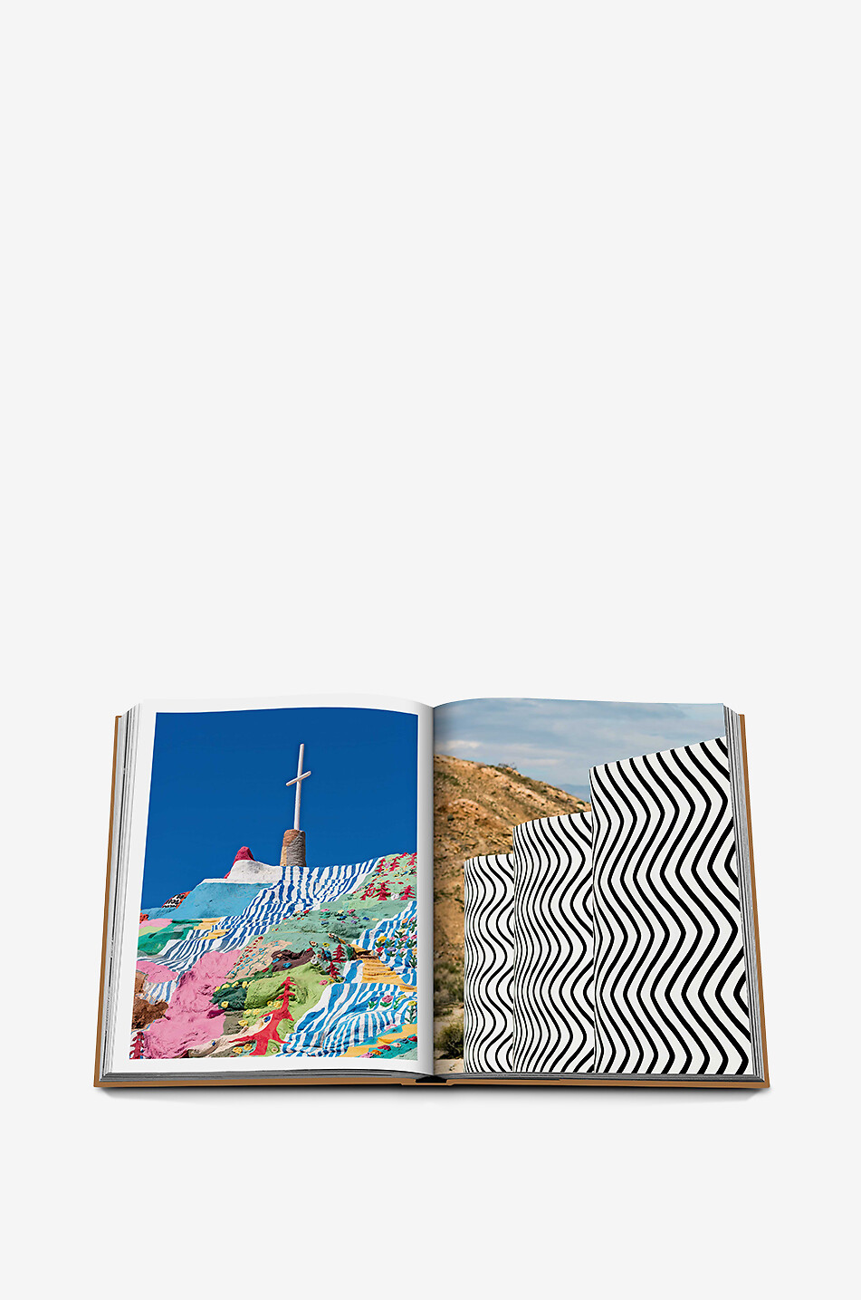 ASSOULINE Livre illustré The Classics Collection Palm Springs Maison MARRON 7