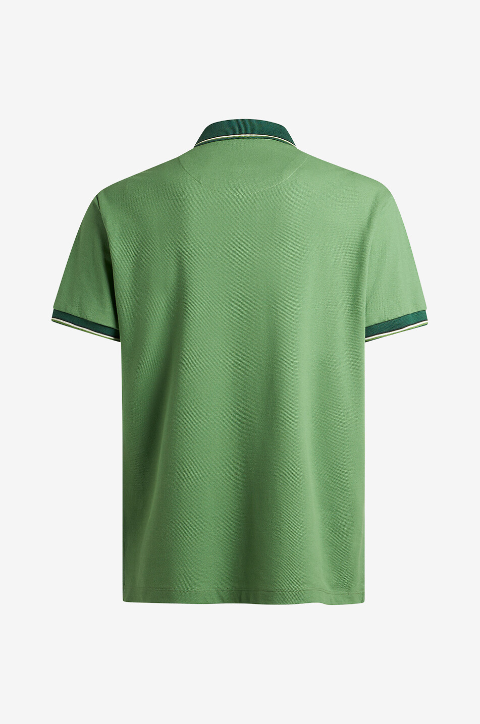 Pegaso short-sleeved polo shirt with stripe trim