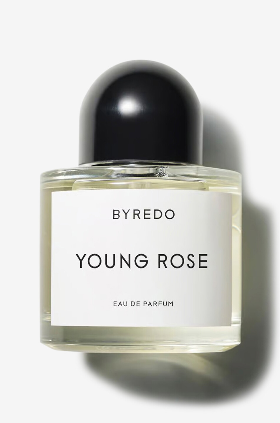 Young Rose eau de parfum - 100 ml
