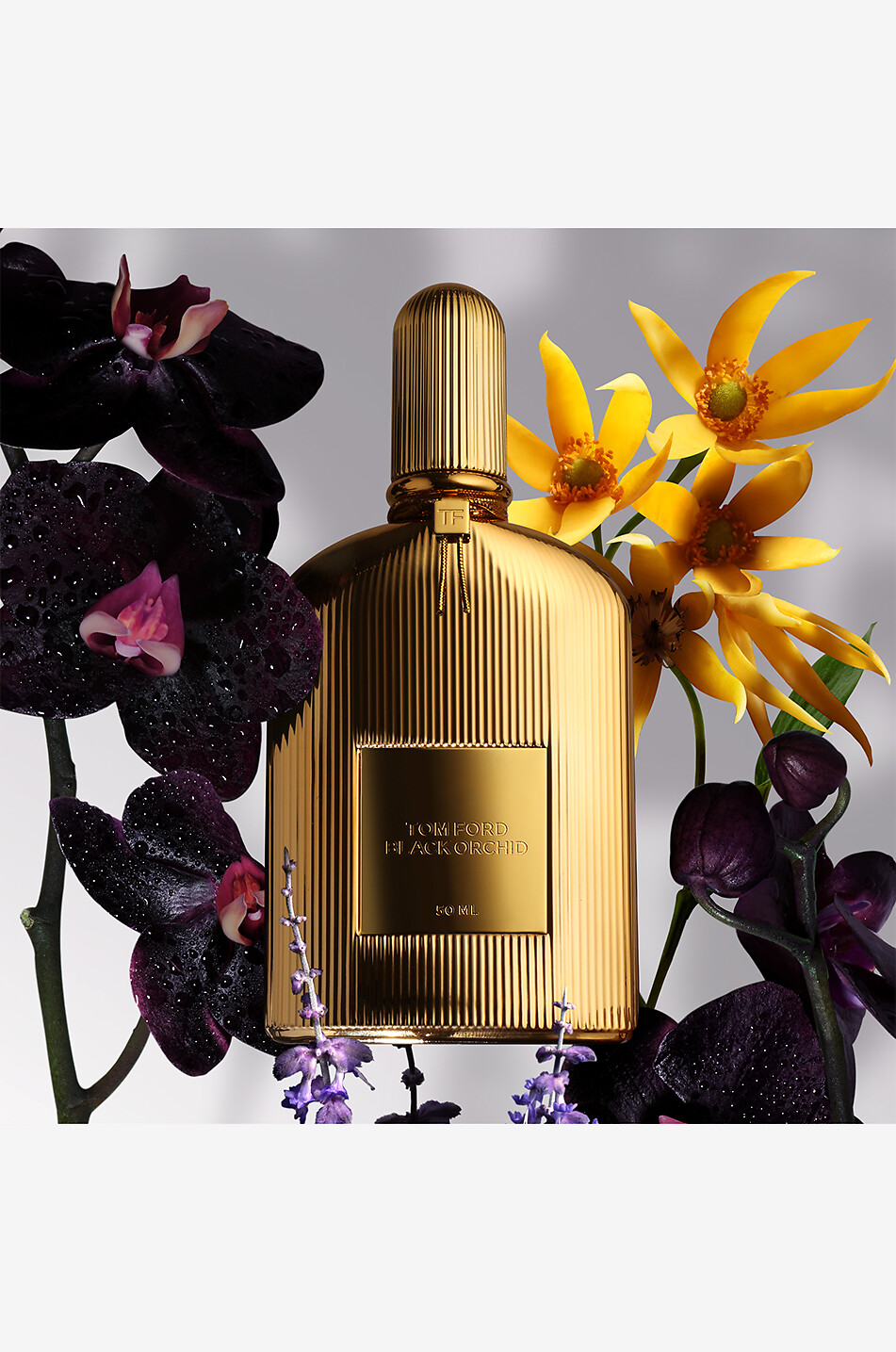 TOM FORD Eau de parfum Black Orchid - 50 ml Unisexe Incolore 3