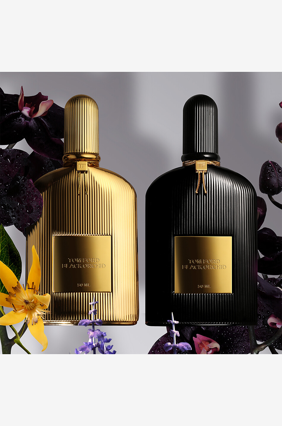 TOM FORD Eau de parfum Black Orchid - 50 ml Unisexe Incolore 6