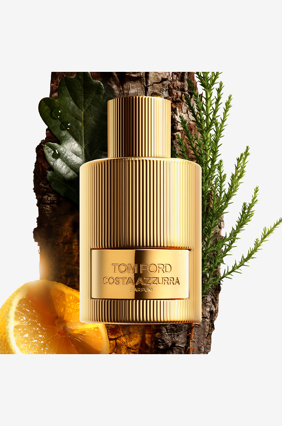 TOM FORD Costa Azzura eau de parfum - 100 ml Unisex Colourless 2