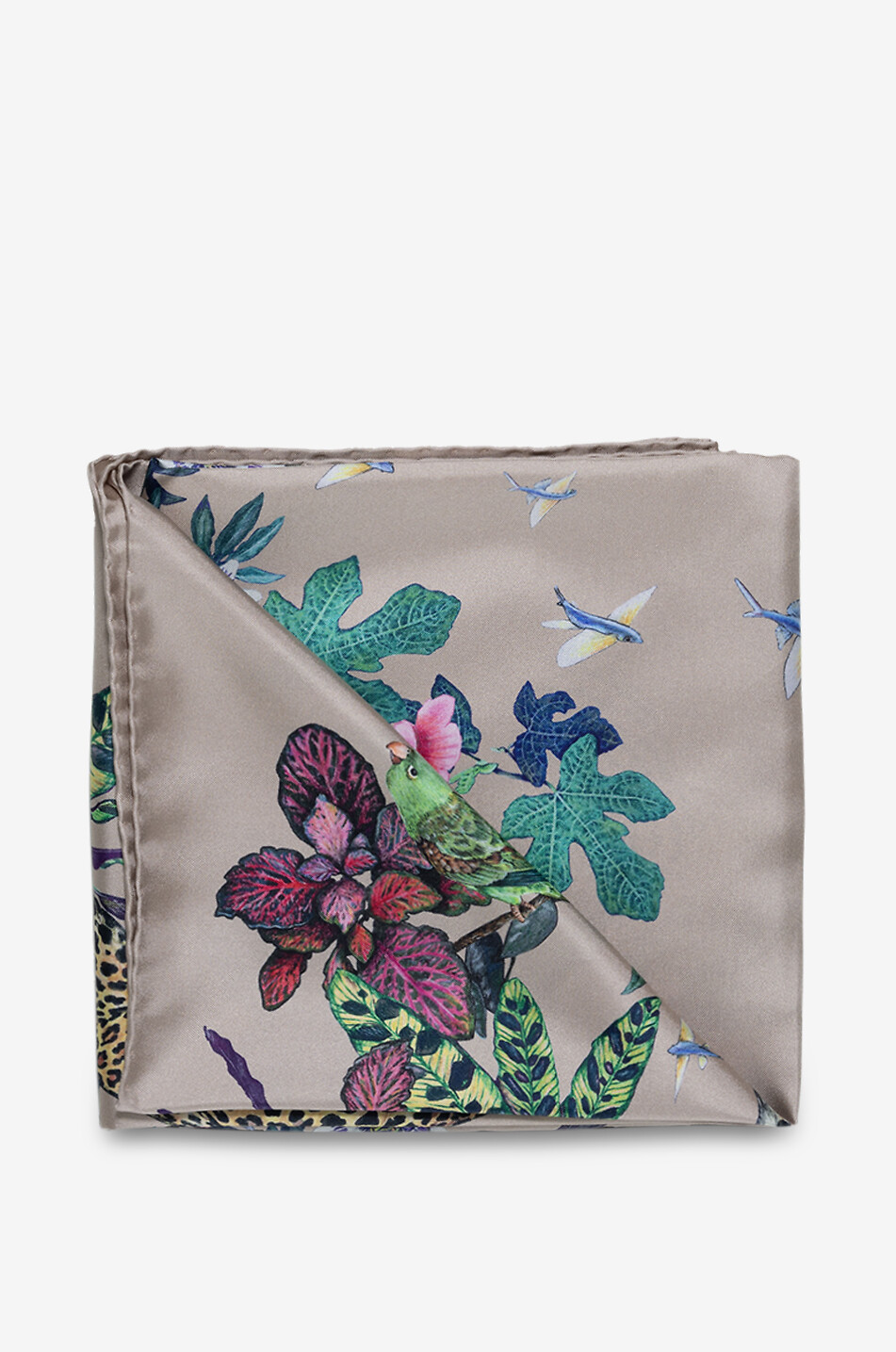 Variété du Monde silk scarf