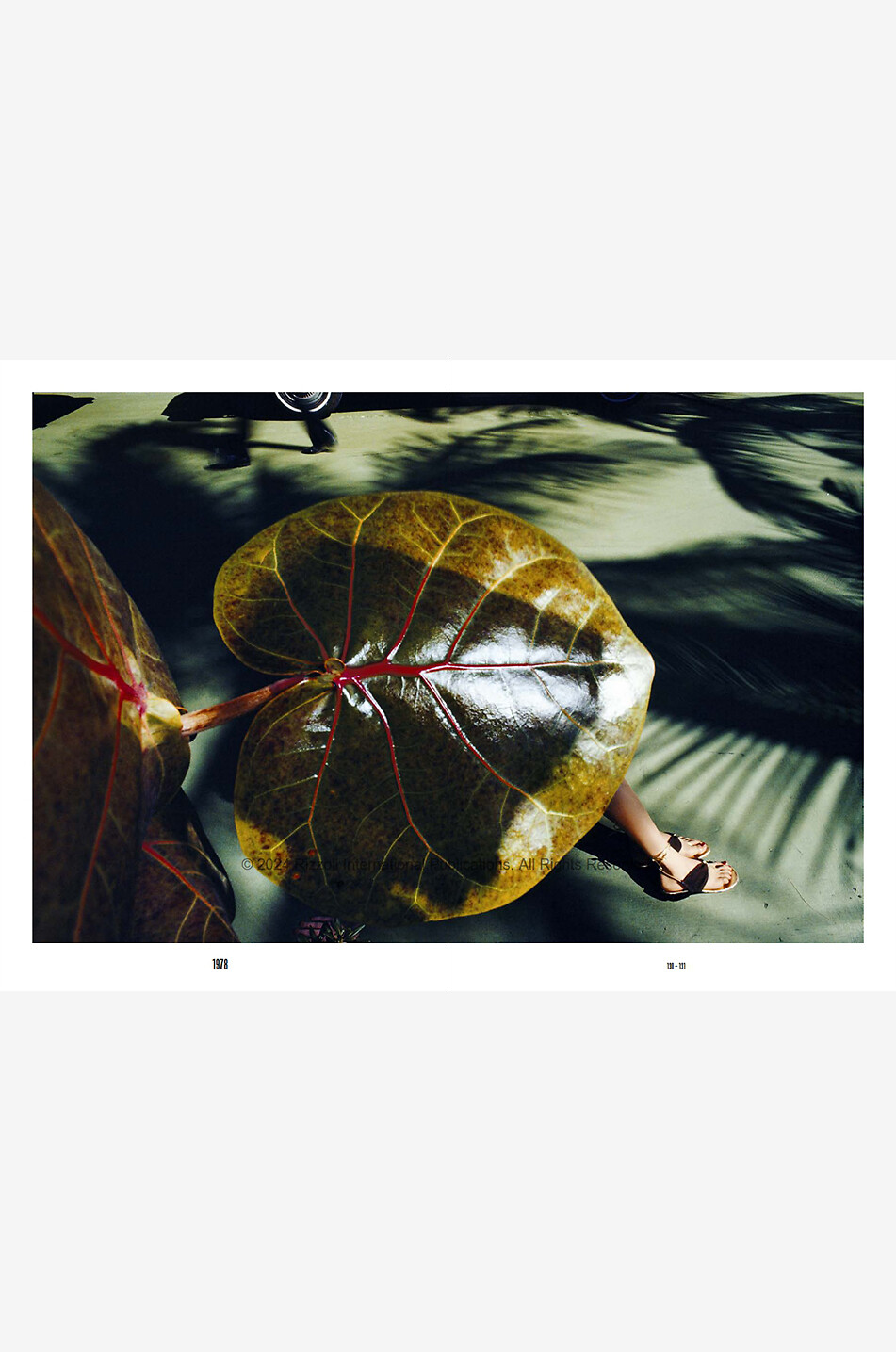 NEW MAGS Livre illustré Guy Bourdin for Charles Jourdan Maison VERT 7