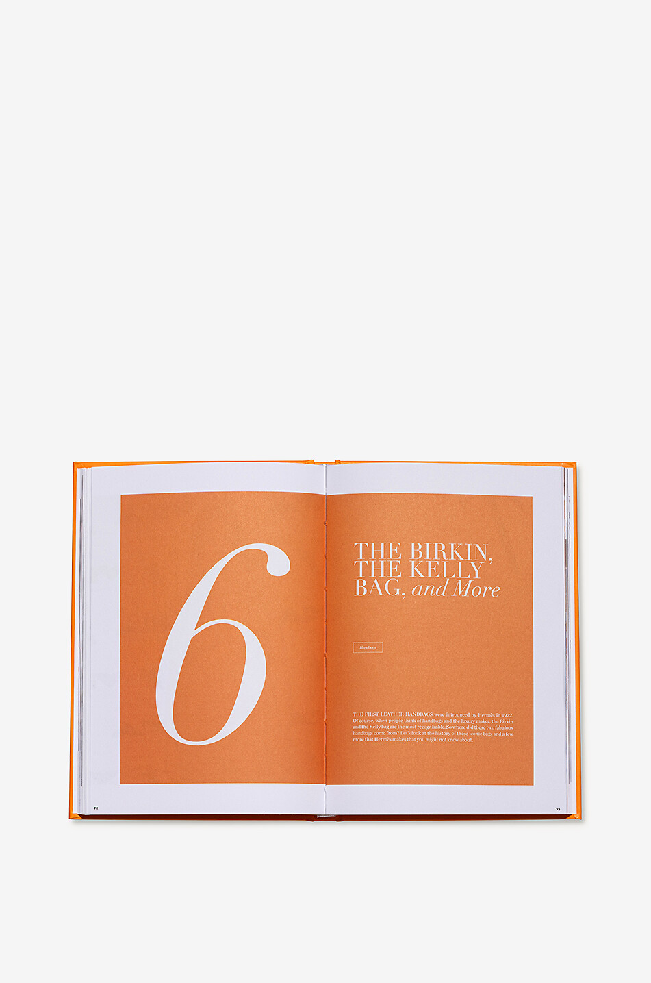 NEW MAGS Livre illustré The Essence of Hermès Unfolded Maison JAUNE 3