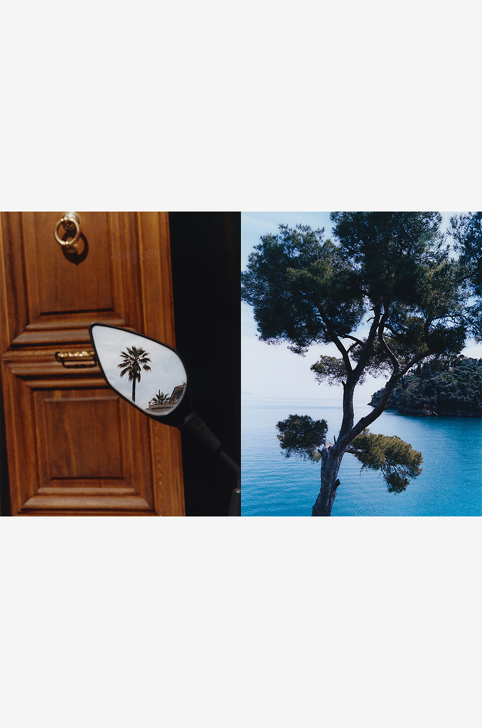 NEW MAGS Kochbuch Liguria: Recipes & Wanderings Along the Italian Riviera Haus GELB 3
