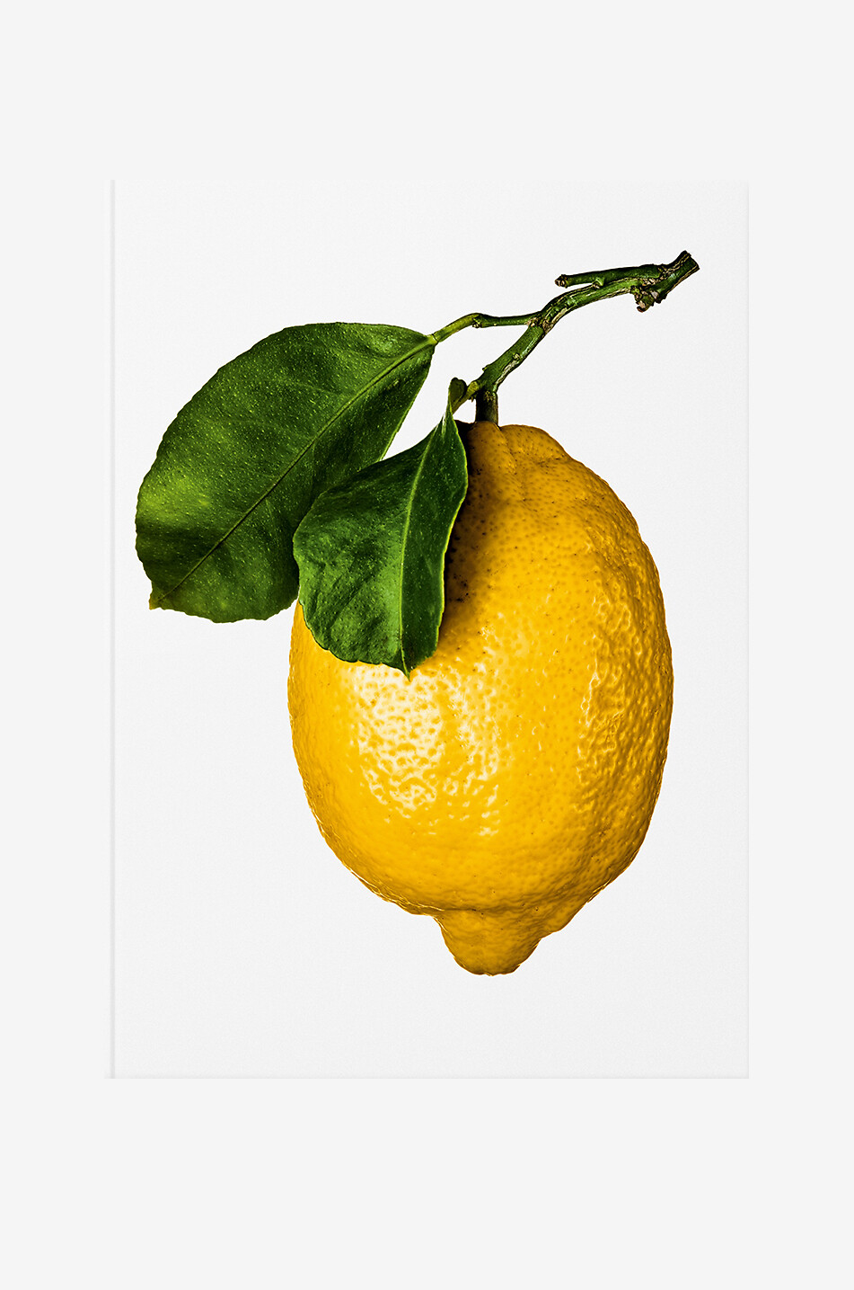 NEW MAGS Kochbuch The Gourmand's Lemon Haus GELB 1