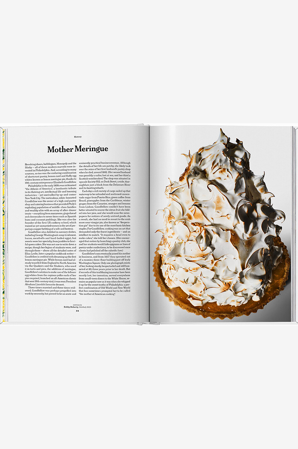 NEW MAGS Kochbuch The Gourmand's Lemon Haus GELB 5