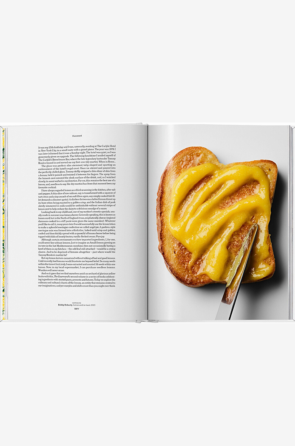 NEW MAGS Kochbuch The Gourmand's Lemon Haus GELB 7