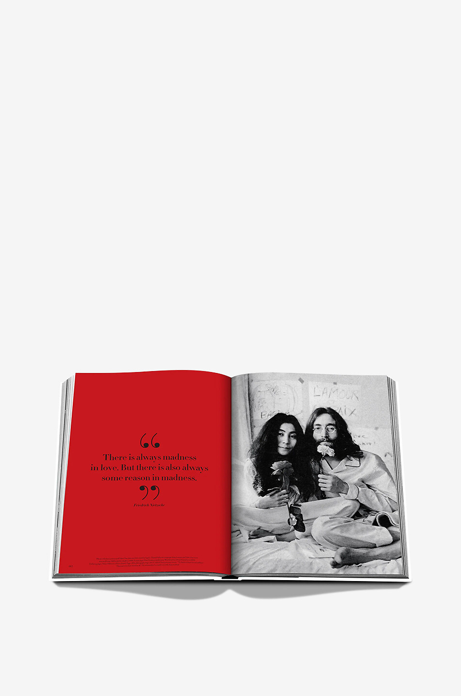 ASSOULINE Beau livre The Icons Collection Heart & Love Maison ROUGE 8