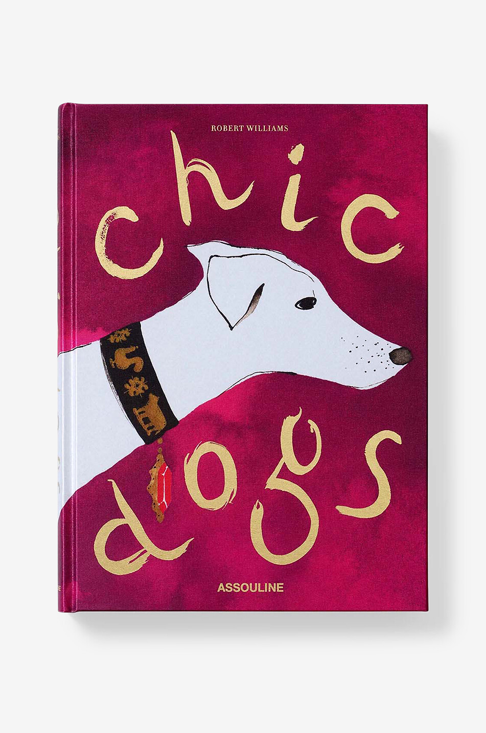 Livre illustré Chic Dogs