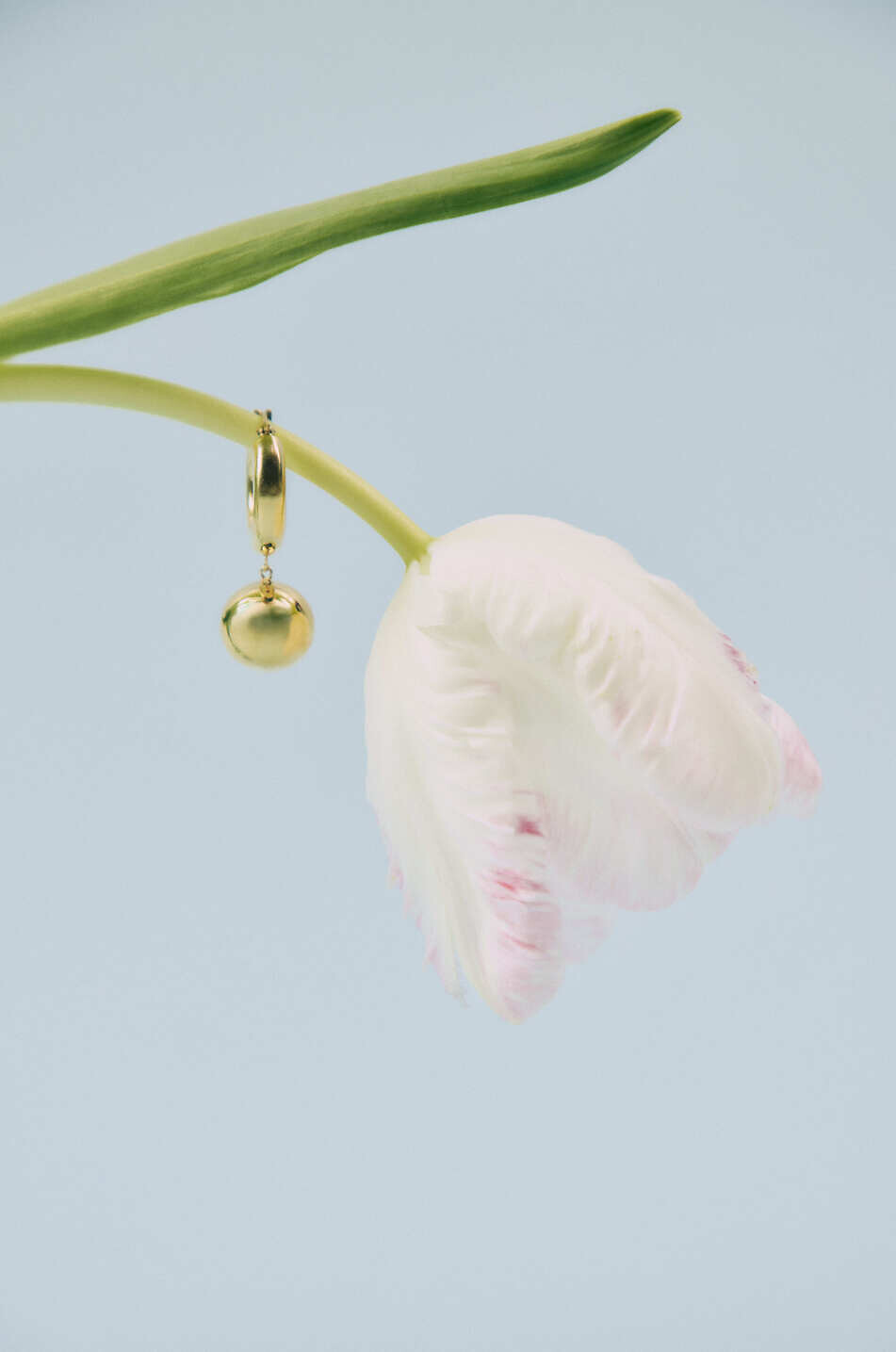 LIE STUDIO Créoles ornées de perles The Marie Femme DORE 8