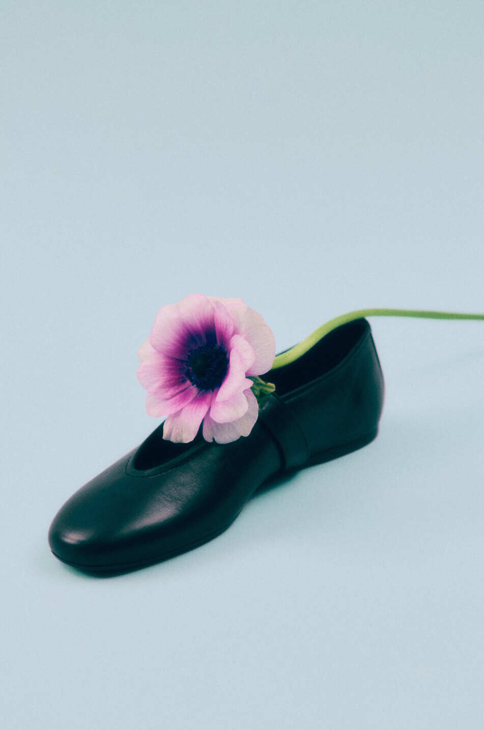 BONGENIE Riemchen-Ballerinas aus Nappaleder Shakila Damen SCHWARZ 4