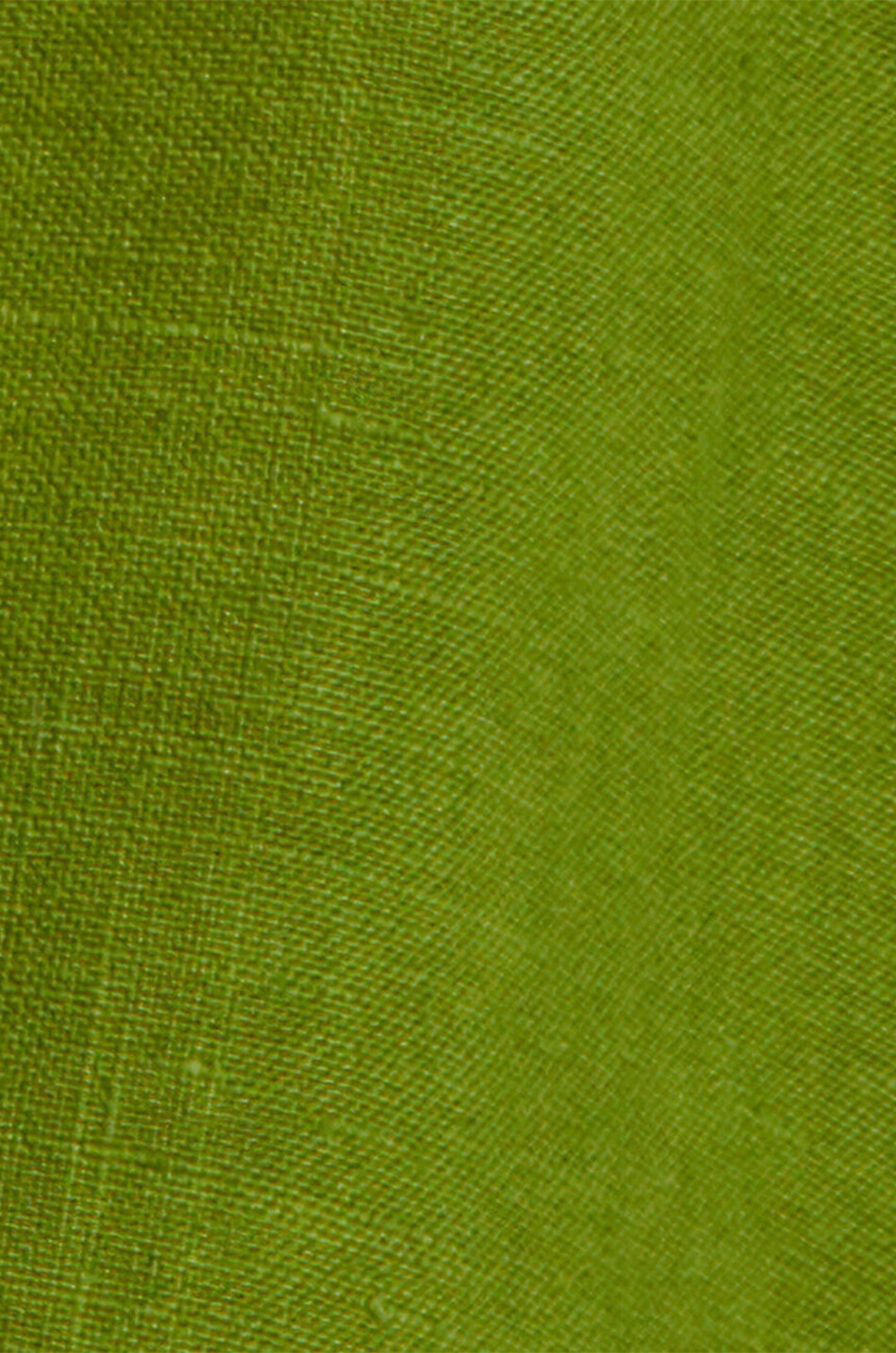 ERES Mignonette long linen shirt Women GREEN 2
