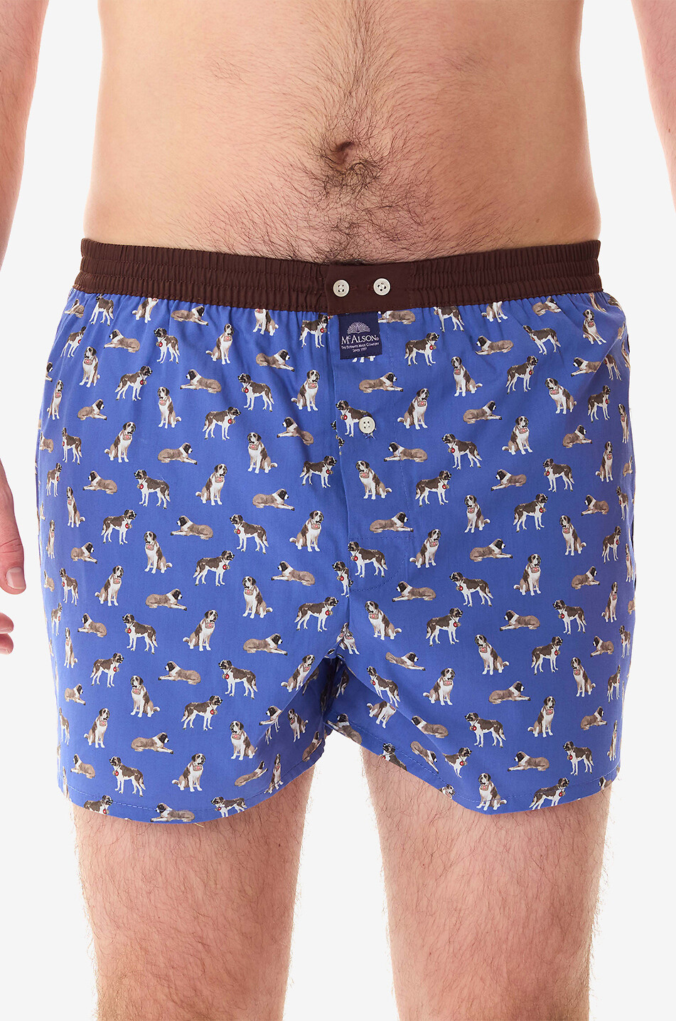 MC ALSON Boxershorts aus Baumwolle Saint Bernards Herren MITTELBLAU 3