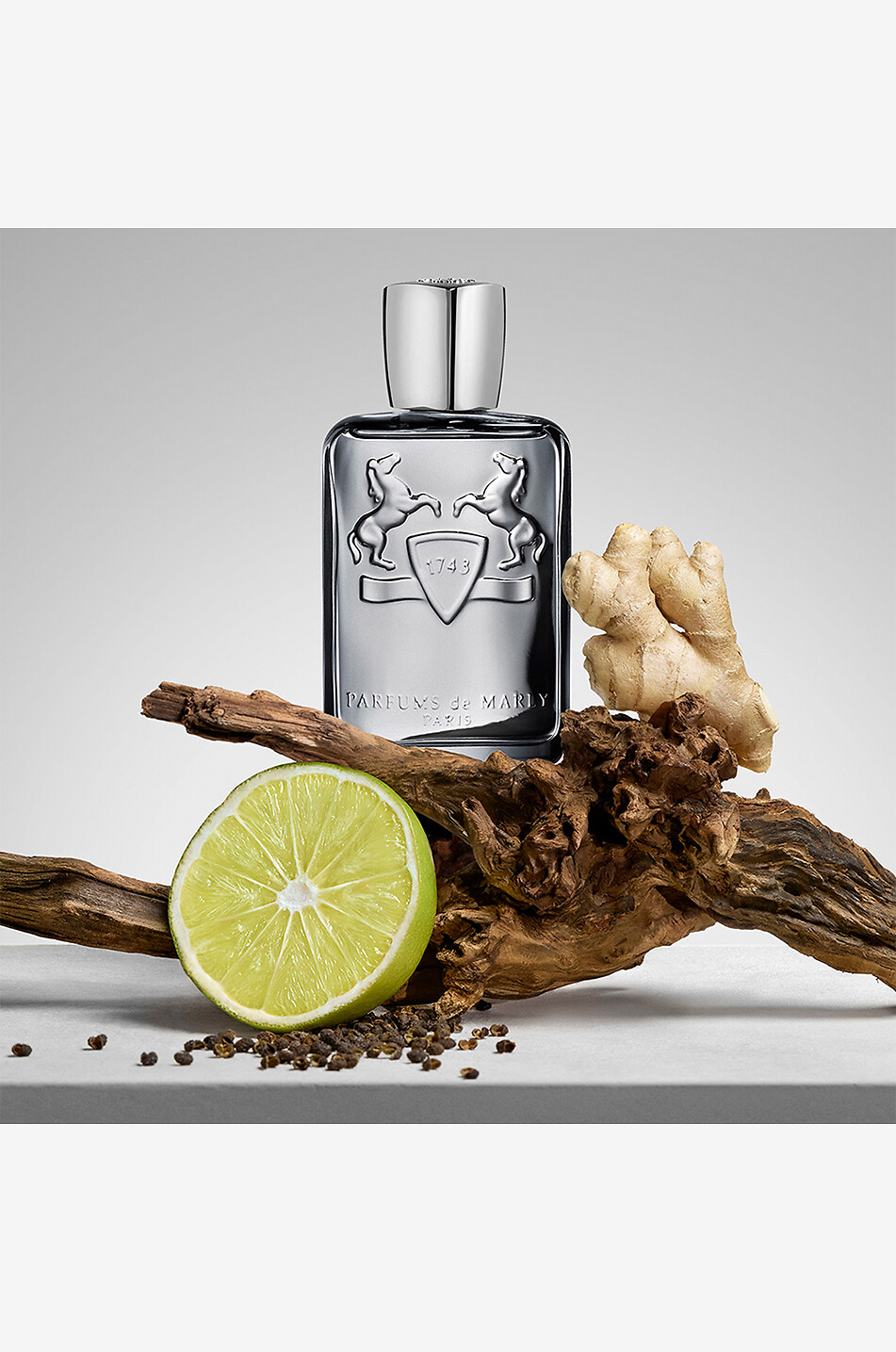 PARFUMS DE MARLY Eau de parfum Castley - 75 ml Homme Incolore 4