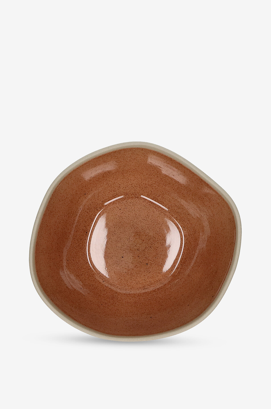 POMAX Bol à céréales Primeval Maison MULTICOLORE 2