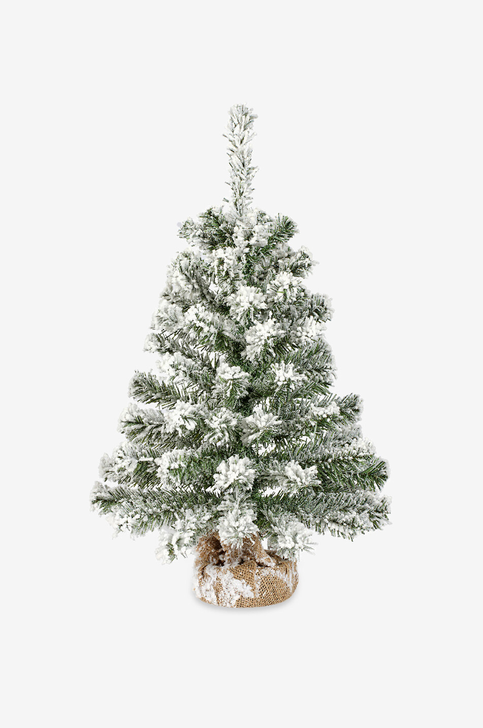 Snowed-in small fir tree