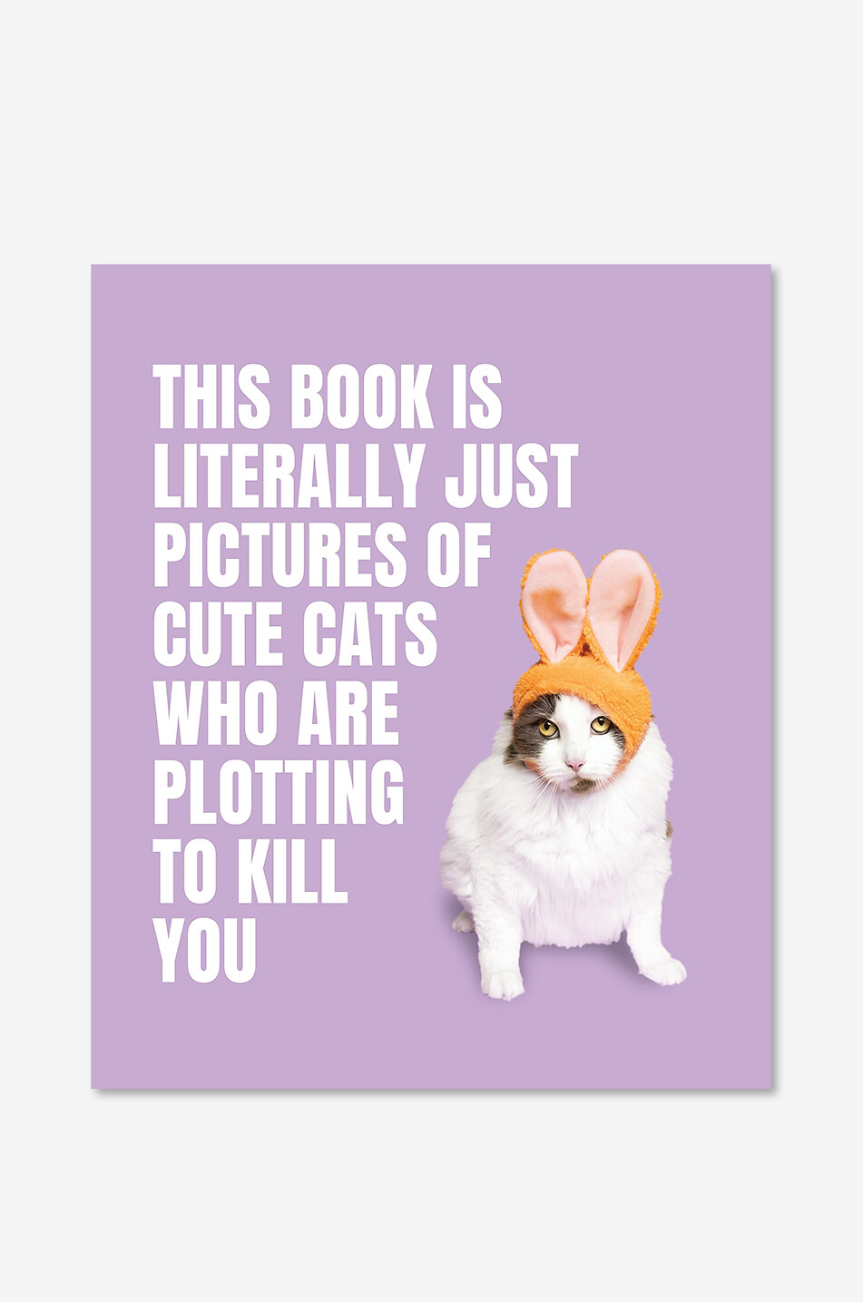 Pictures Of Cute Cats Plotting to Kill You coffee table book
