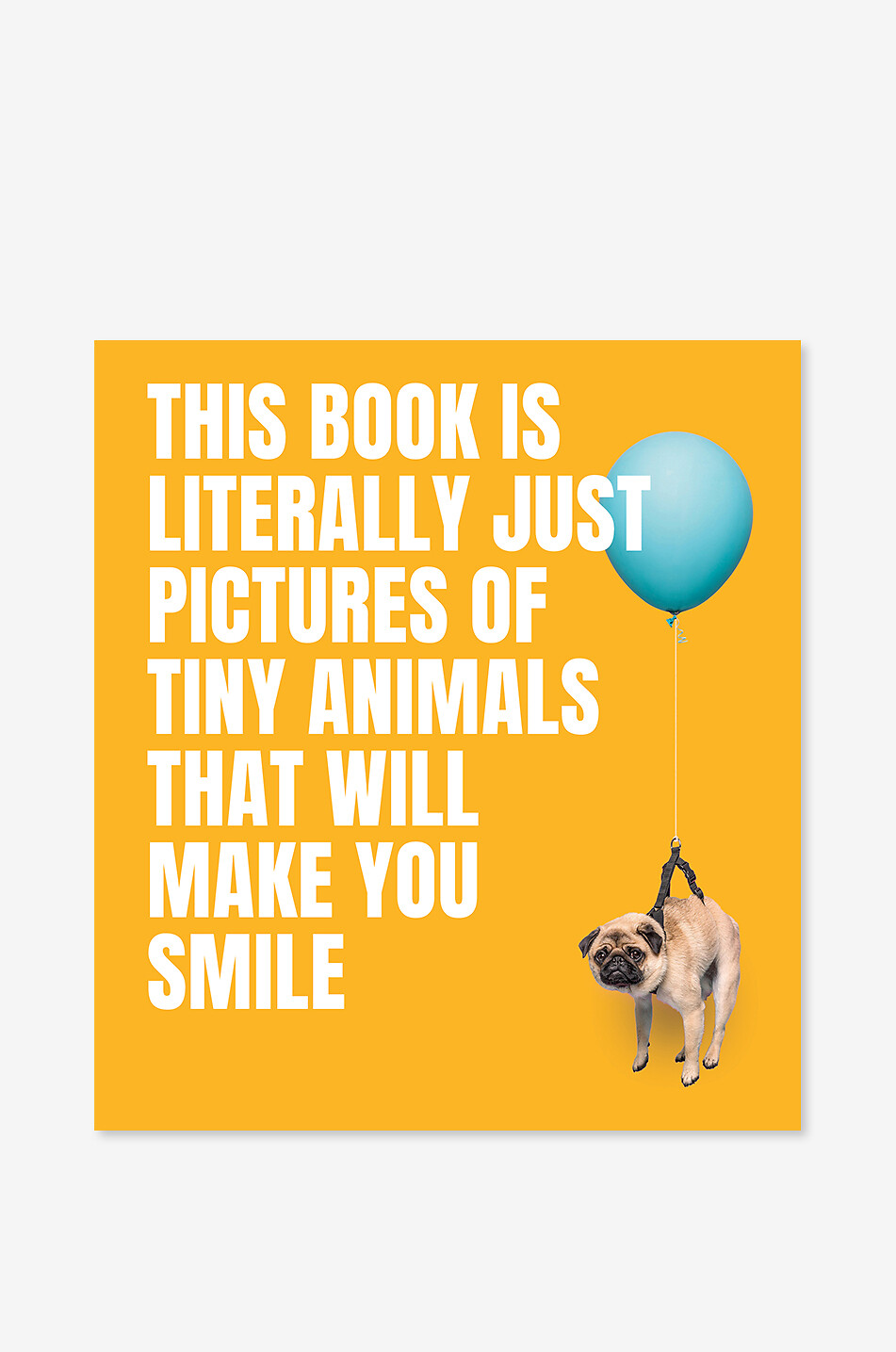 NEW MAGS Pictures Of Tiny Animals That Will Make You Smile coffee table book Home YELLOW 1