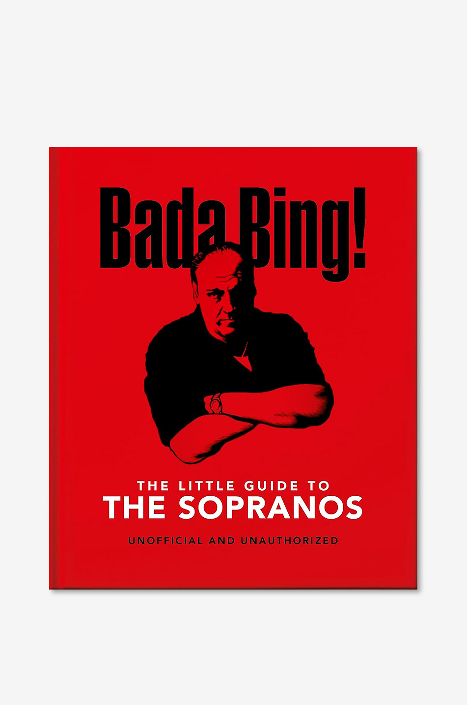 NEW MAGS Bildband Bada Bing!: The Little Guide to The Sopranos Haus ROT 1