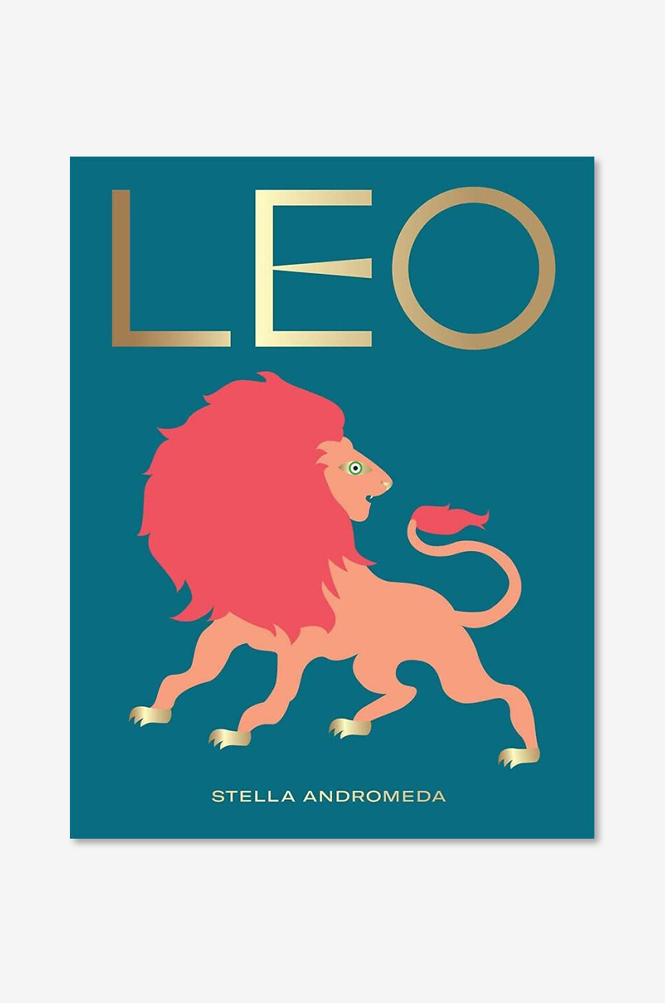 Decorative Leo book
