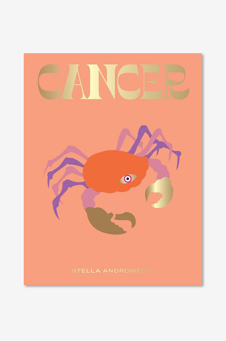 NEW MAGS Cancer coffee table book Home LIGHT PINK 1