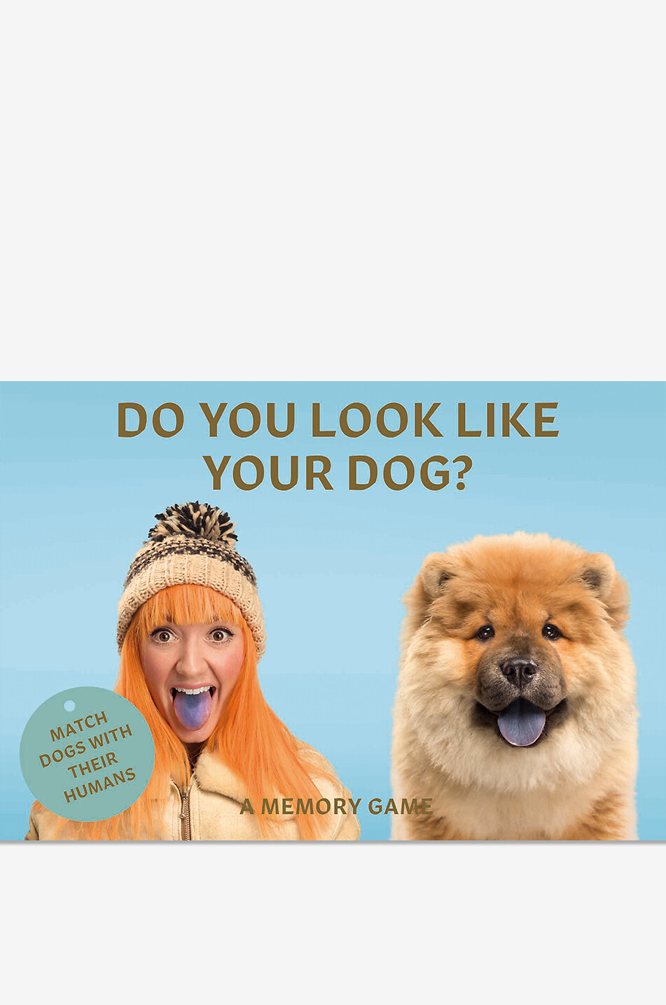 NEW MAGS Do You Look Like Your Dog Memory Game Home BLUE 1