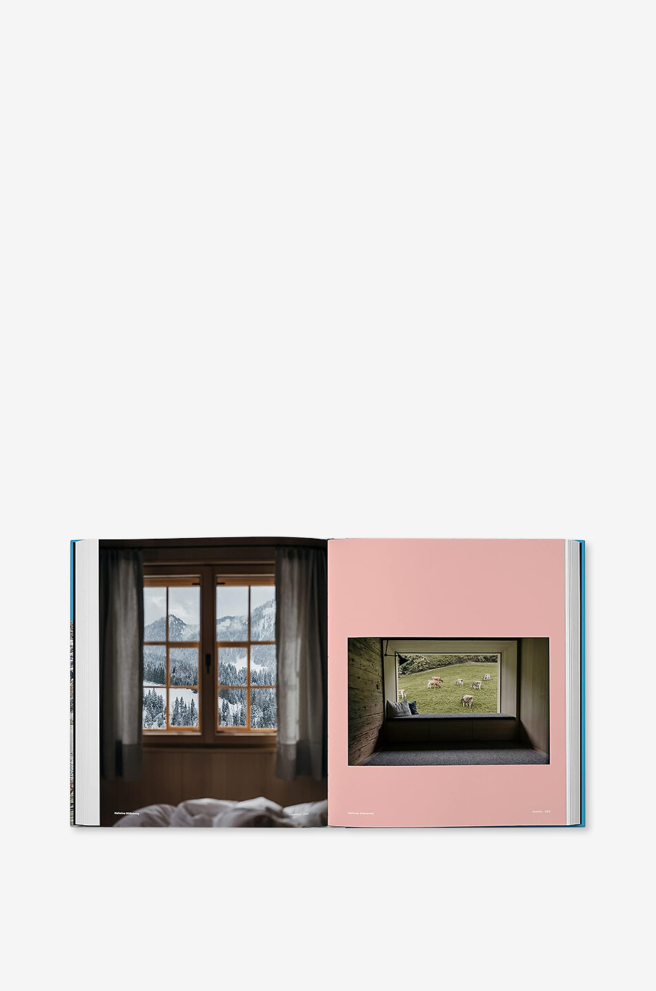 NEW MAGS Livre illustré The Alps Maison MULTICOLORE 3