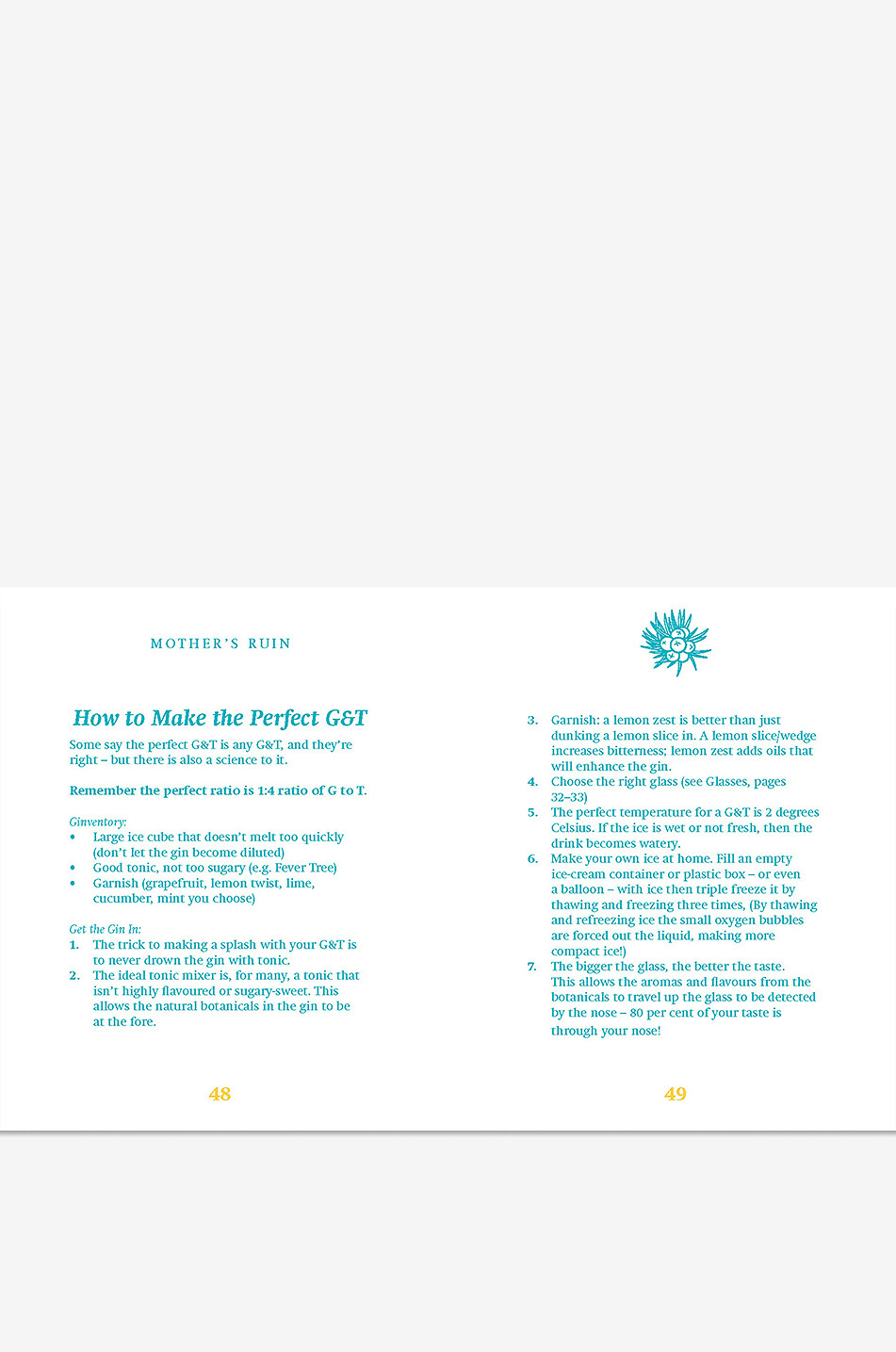 NEW MAGS Bildband The Little Book of Gin Haus BLAU 3