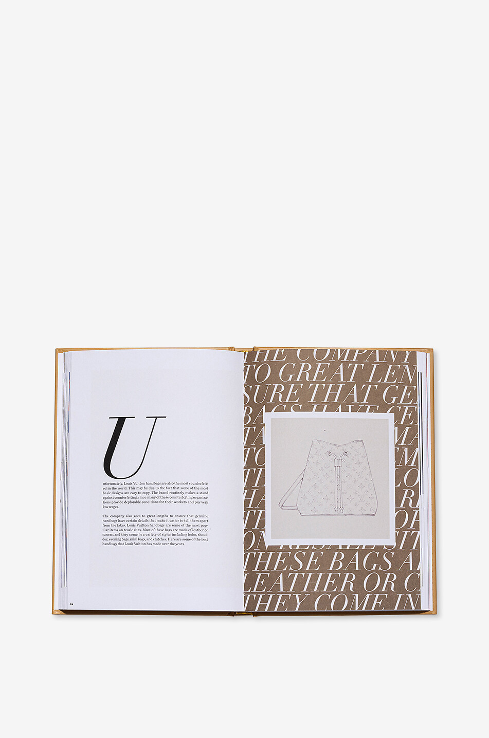 NEW MAGS Bildband The Essence Of Louis Vuitton Haus GOLDEN 3