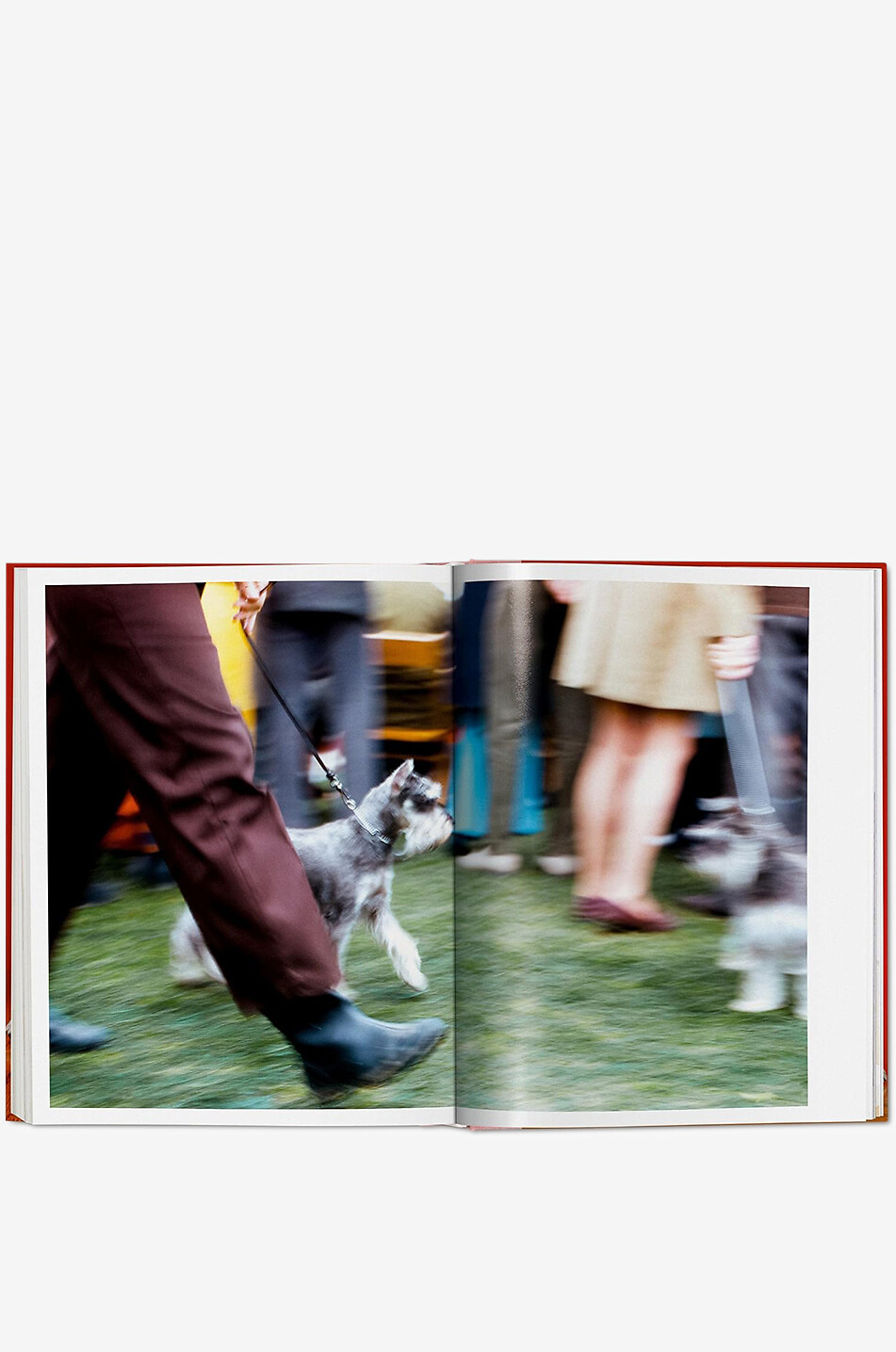 NEW MAGS Walter Chandoha - Dogs - Photographs 1941-1991 coffee table book Home RED 3