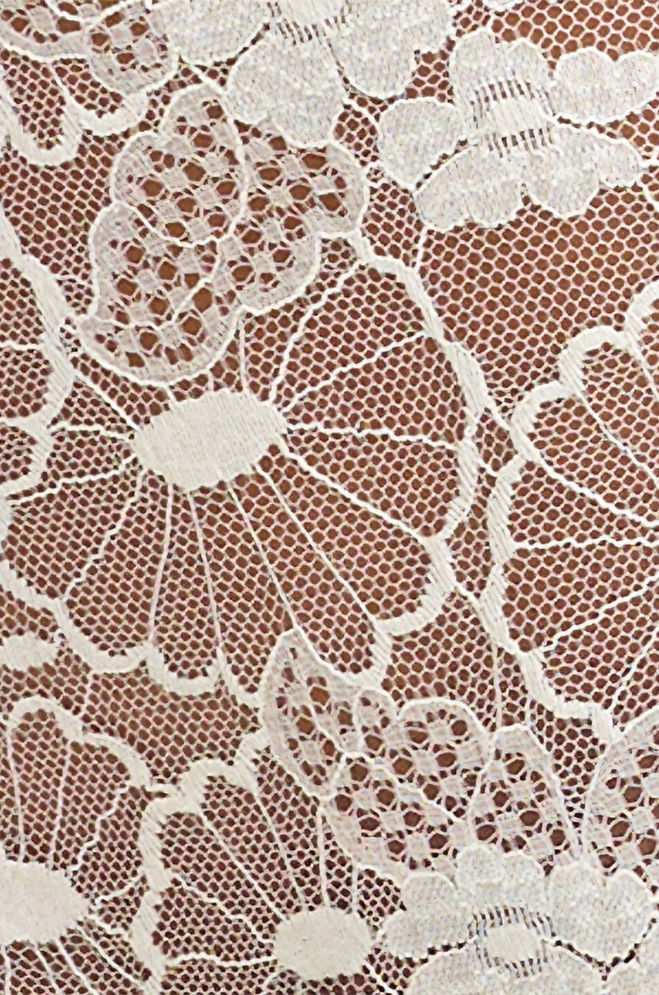 ERES Acacia high-rise lace panties Women WHITE 4