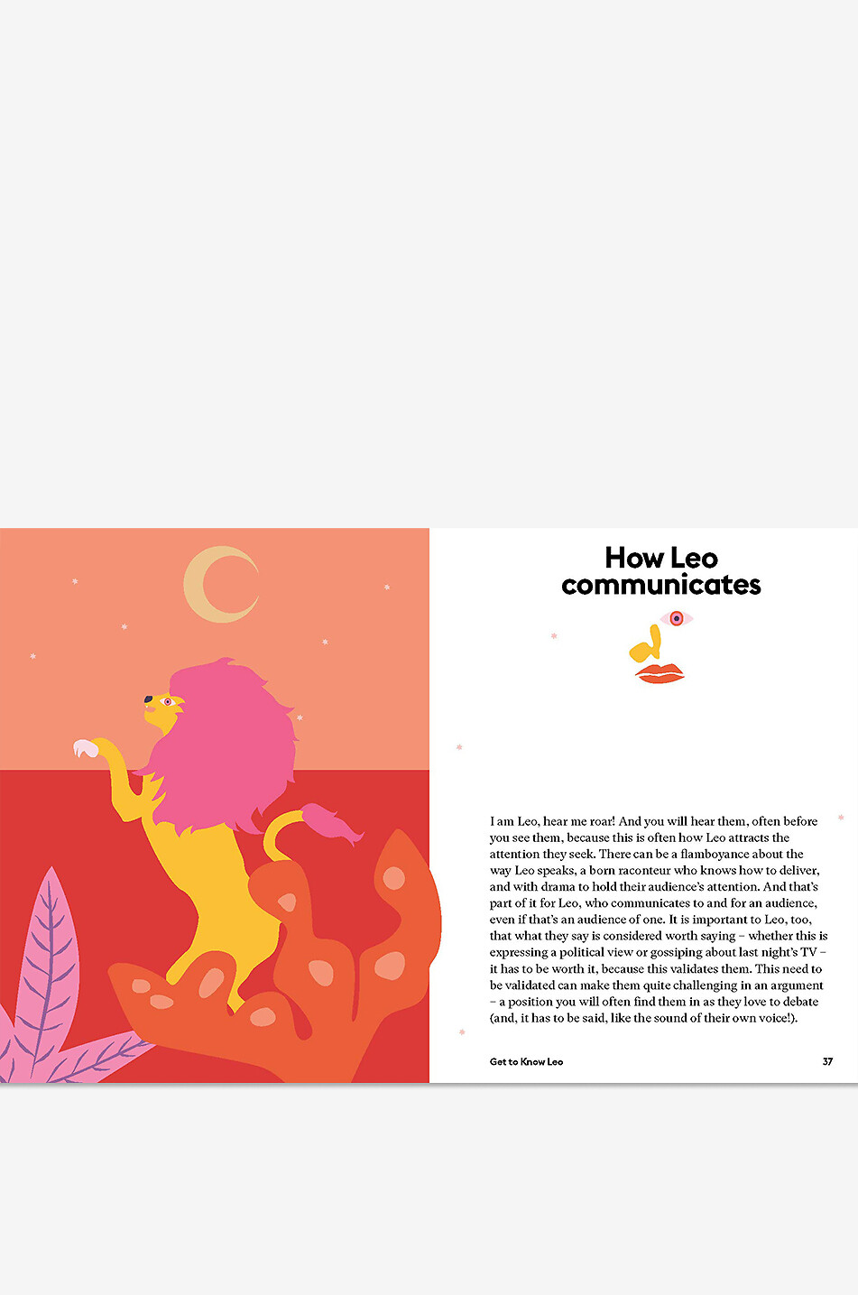 NEW MAGS Decorative Leo book Home DARK BLUE 3