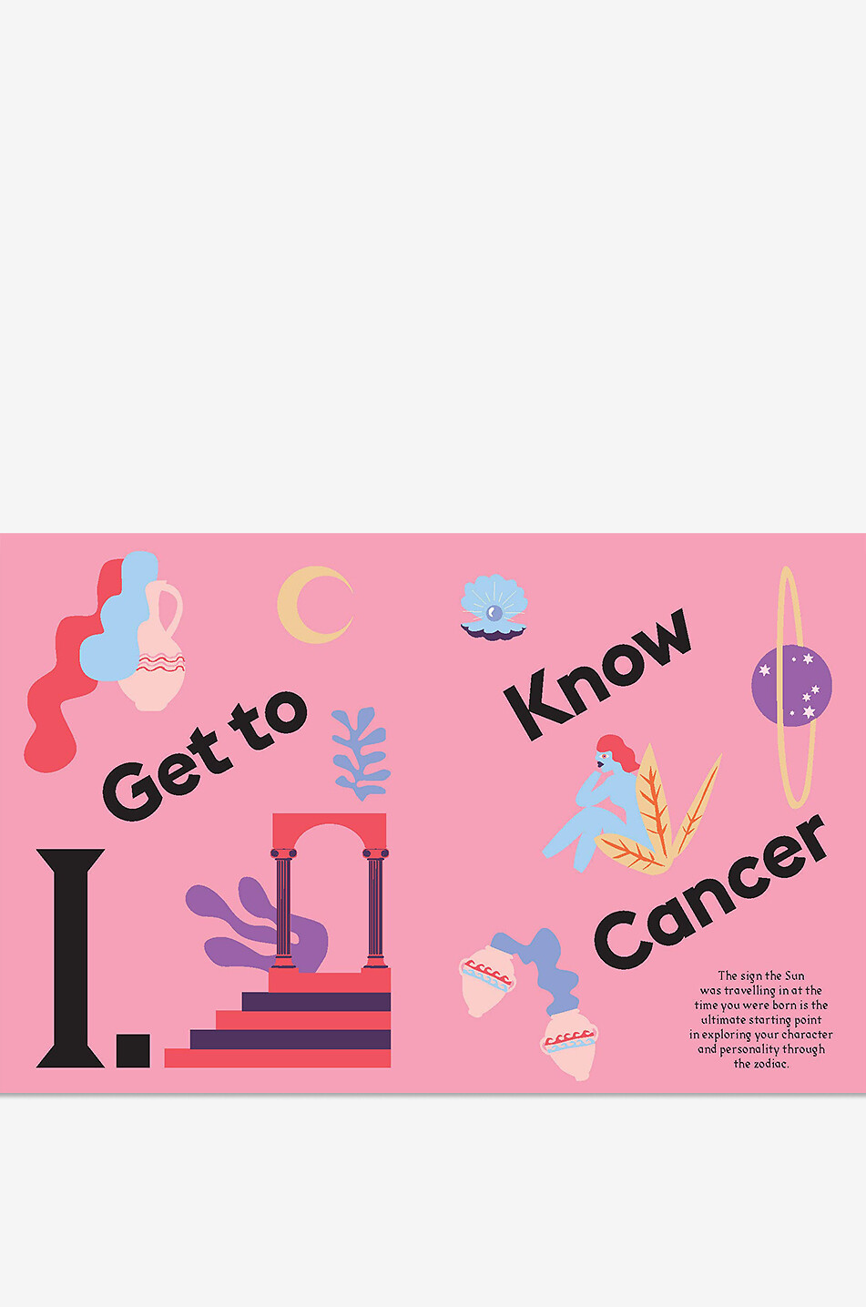 NEW MAGS Cancer coffee table book Home LIGHT PINK 3