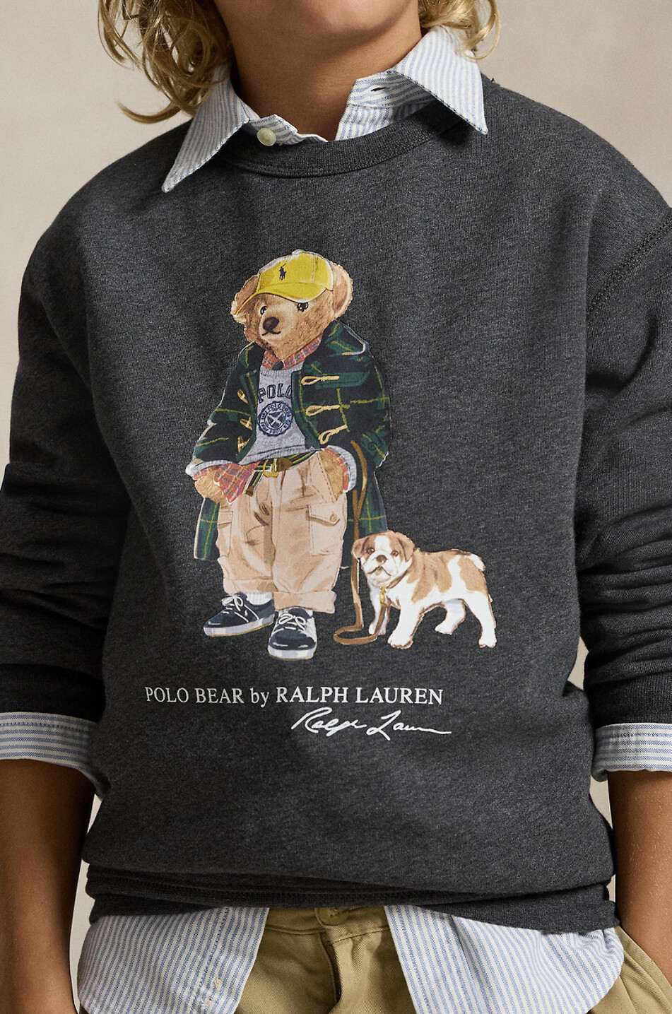 POLO RALPH LAUREN Polo Bear & Bulldog boys' mottled crewneck sweatshirt Boy DARK GREY 4