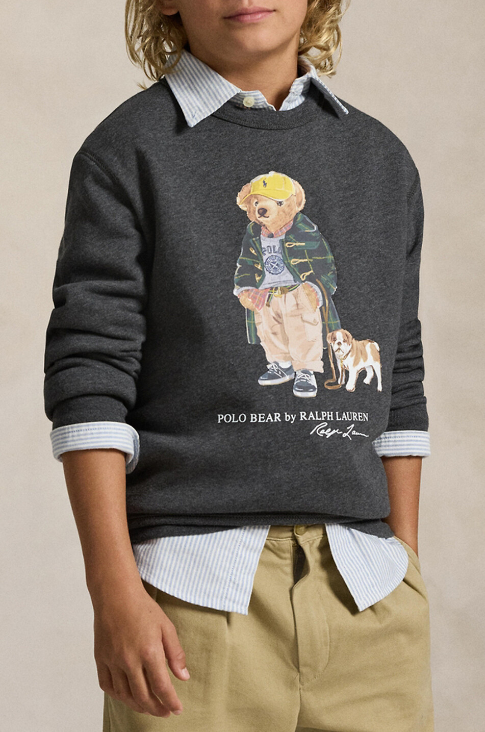 POLO RALPH LAUREN Polo Bear & Bulldog boys' mottled crewneck sweatshirt Boy DARK GREY 5