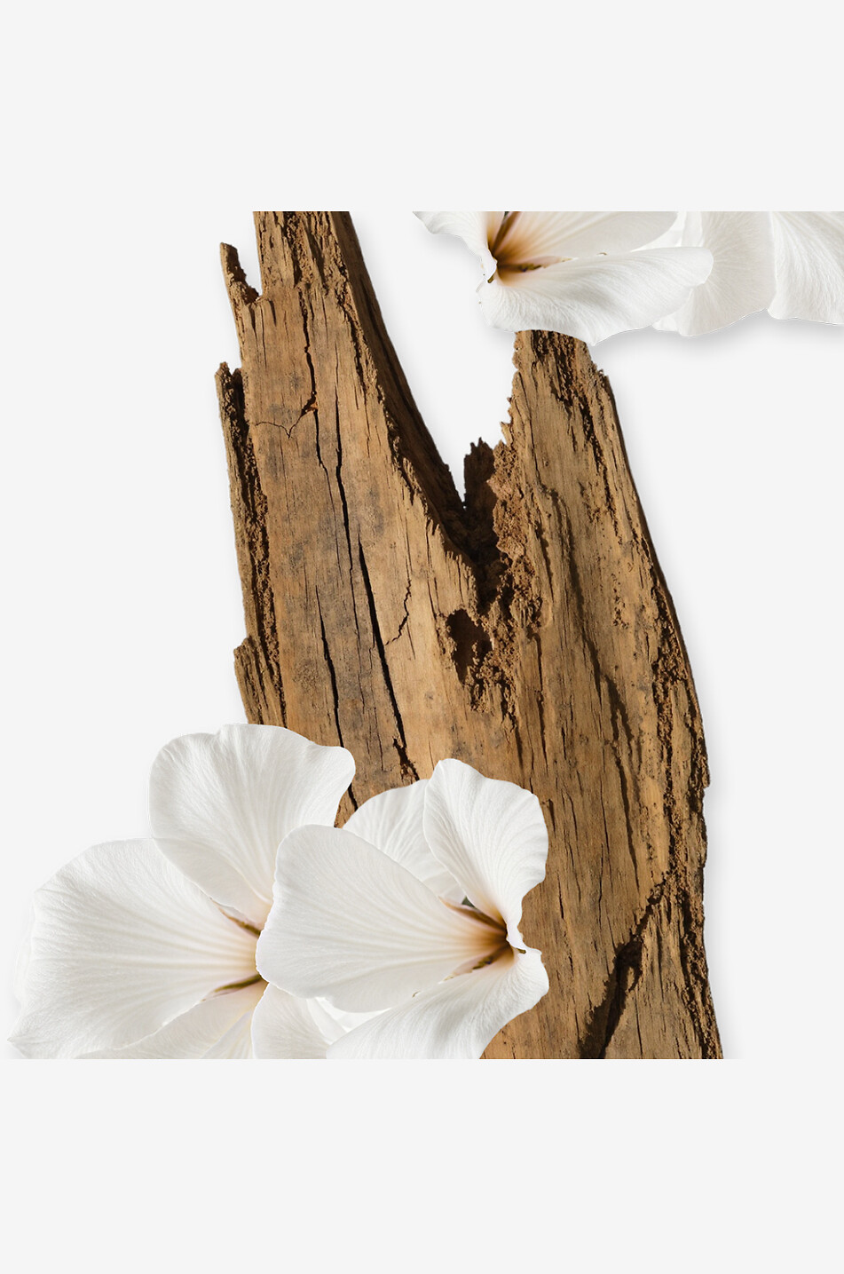 PARFUMS DE MARLY Recharge crème corps Valaya - 200 ml Femme Incolore 2