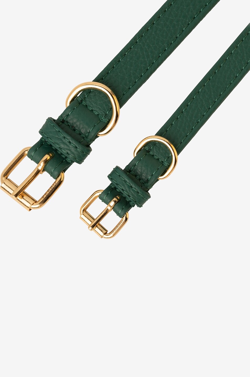 PERRO COLLECTION Dog collar in leather Home DARK GREEN 5