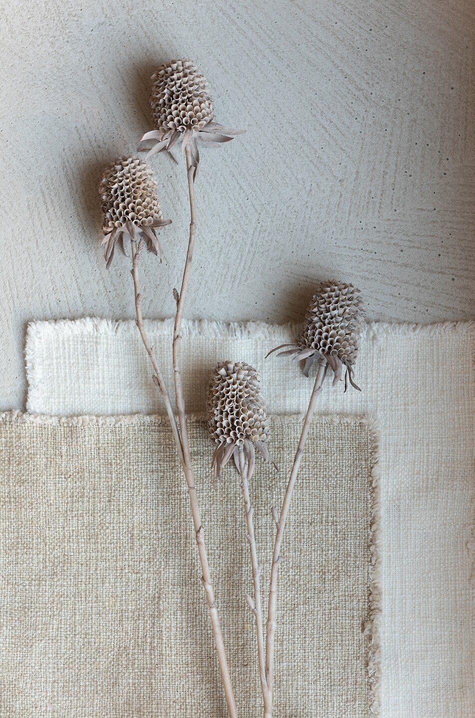 JOLIPA Plante artificielle Tagete sur tige Maison BEIGE 2