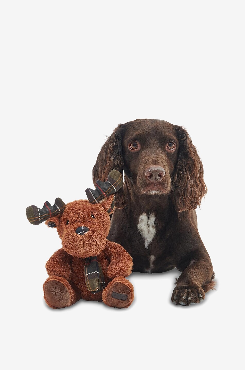 Hochwertige Hundespielzeug Rentier