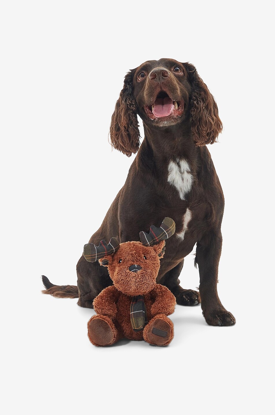 BARBOUR Hochwertige Hundespielzeug Rentier Haus BRAUN 3