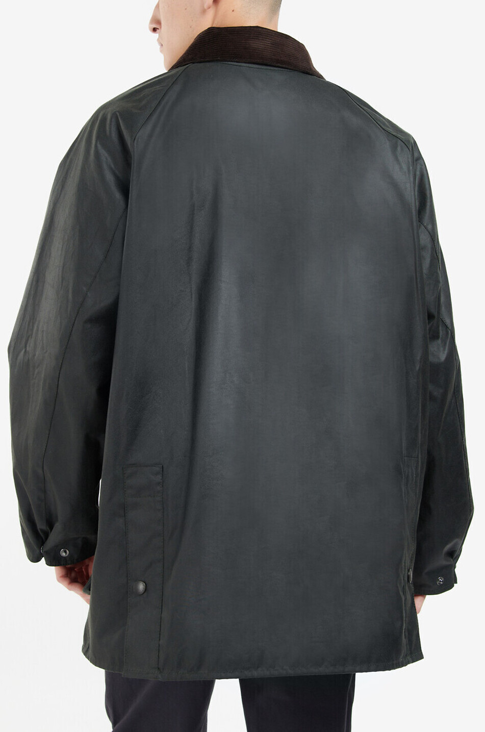 Gewachste Baumwoll-Parkajacke mit Hemdkragen Bedale