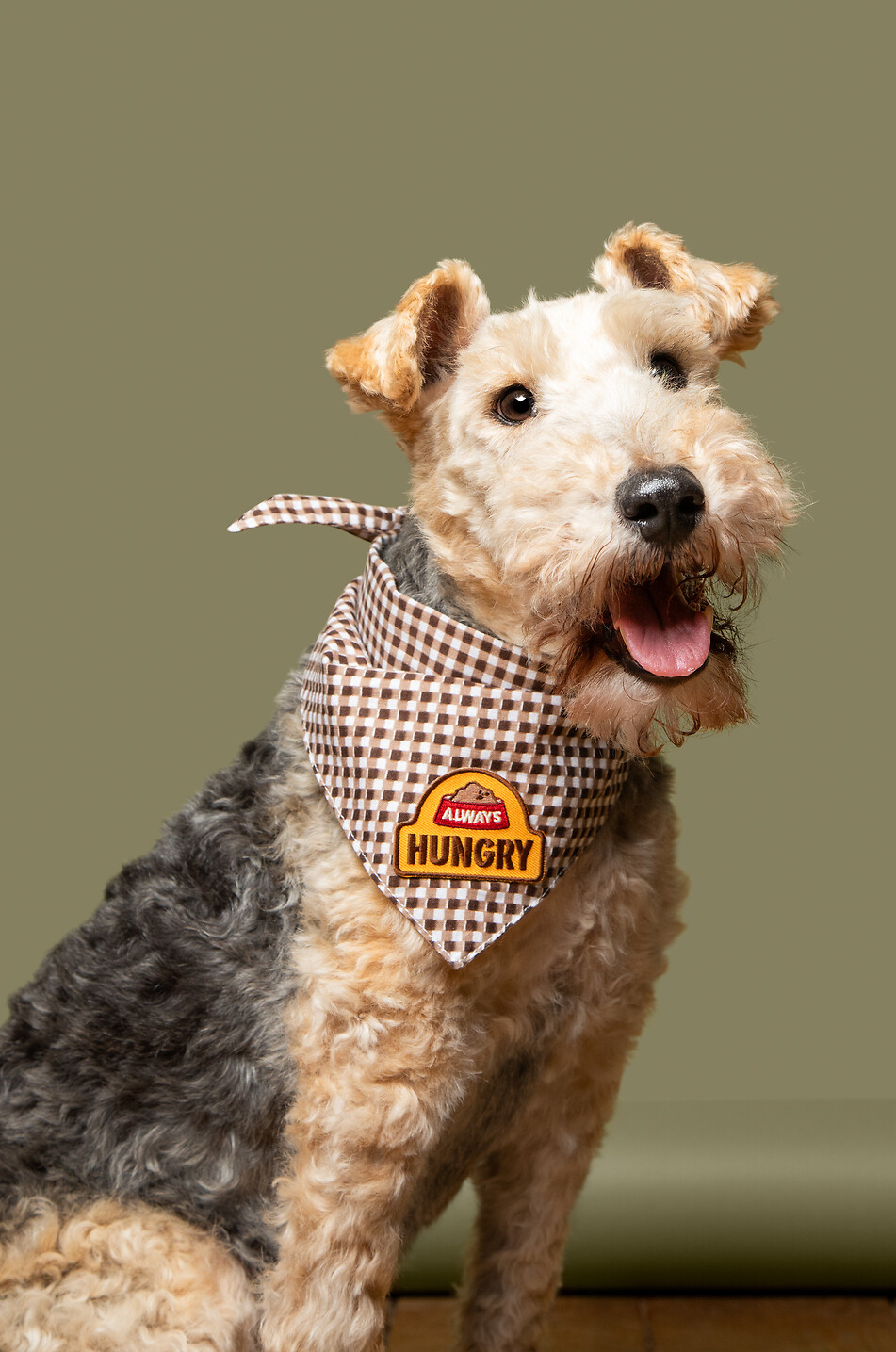 SCOUT'S HONOUR Écusson thermocollant pour chiens Always Hungry Maison MULTICOLORE 2