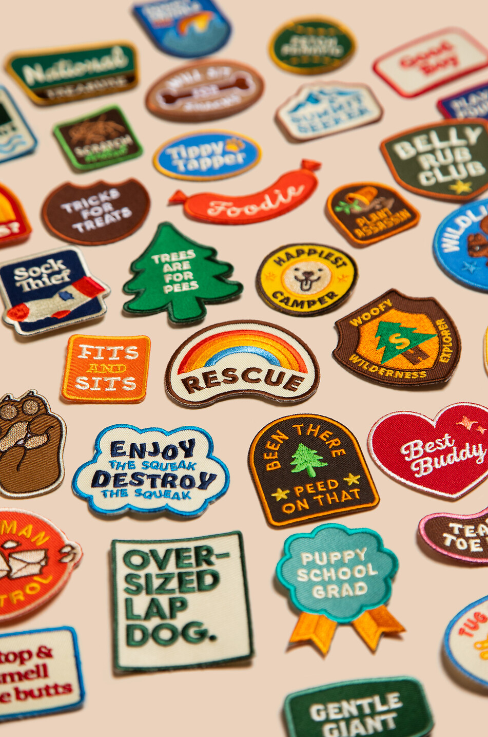 SCOUT'S HONOUR Écusson thermocollant forme cœur Best Buddy Maison MULTICOLORE 3