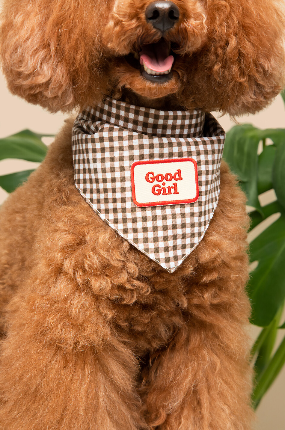 SCOUT'S HONOUR Écusson thermocollant rectangulaire pour chiens Good Girl Maison MULTICOLORE 2