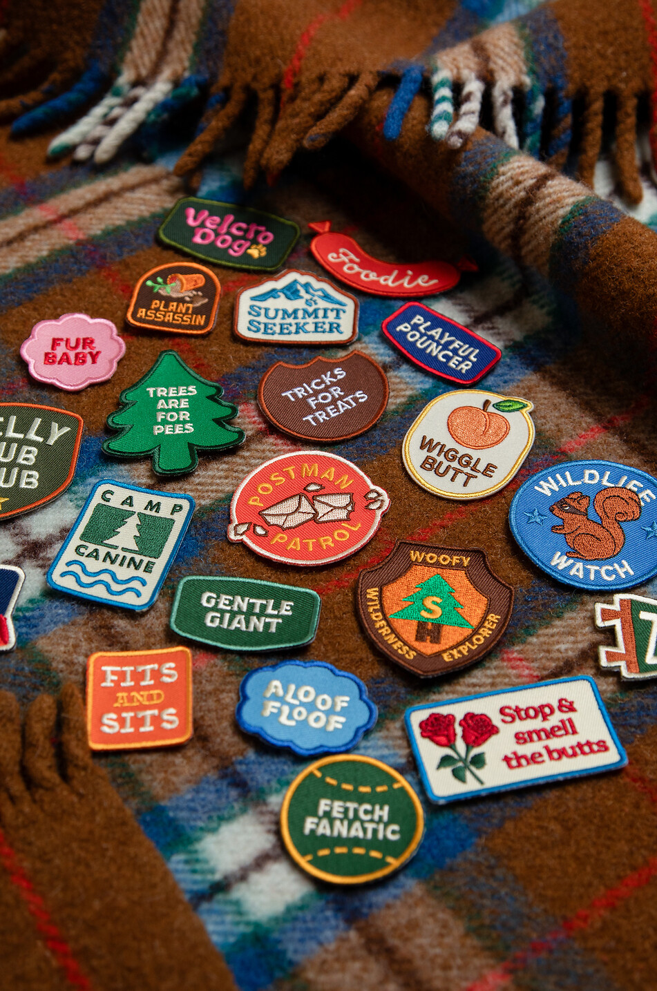 SCOUT'S HONOUR Thermoklebendes Patch Sock Thief für Hunde Haus BUNT 3