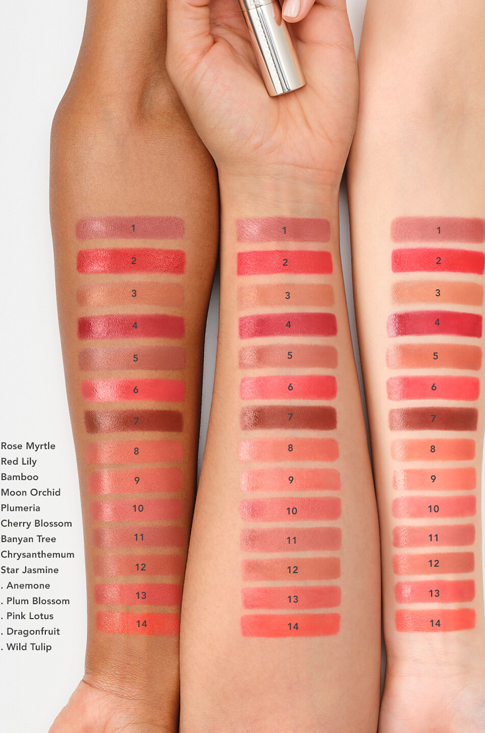 CHANTECAILLE Lip Crème Bamboo lipstick Women Colourless 3